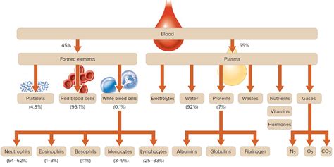 Red cross weight limits for giving blood - photoswest