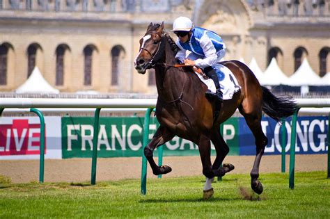 Grande Prémio de Saint-Cloud: corridas de cavalos, almoço na relva e concurso de pintura ...