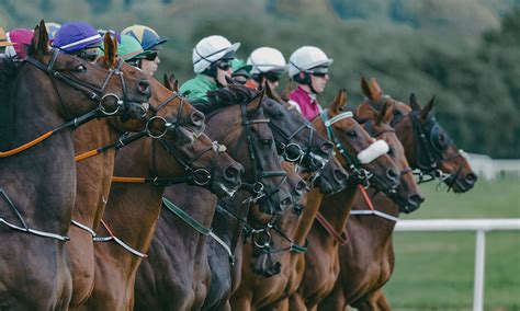 Cheltenham Gold Cup 2023 - AlbanyBailey