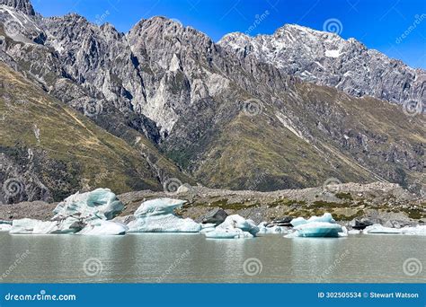 Taman Lake Icebergs in the Tasman Valley in Mt Cook National Park Stock ...