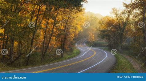 Curved Road stock image. Image of road, rustle, byway - 60177509