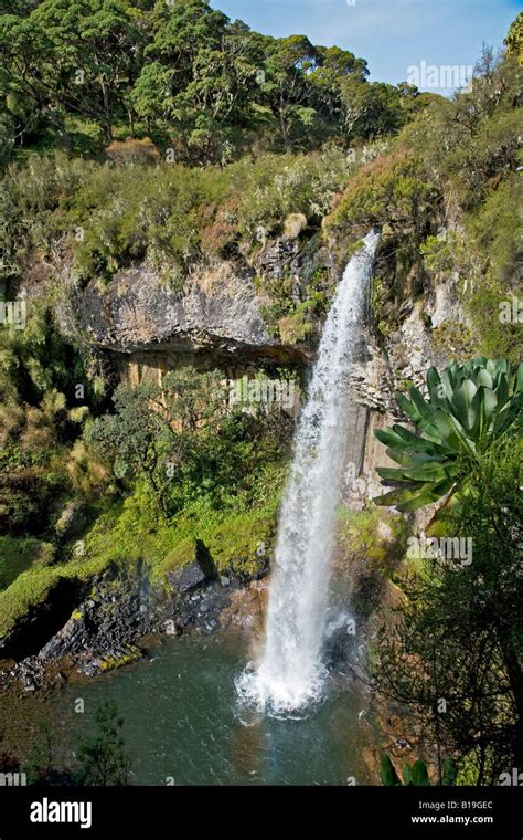 Chania falls aberdare national park hi-res stock photography and images - Alamy