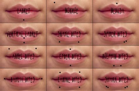 14 Lip Piercing Types Explained & Jewelry Inspiration Guide