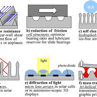 Examples of functions in the micro- and nanometre range (examples ...