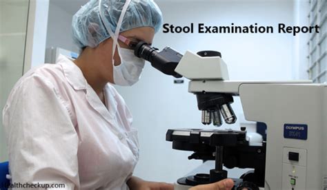 Stool Examination Report: Preparation, Procedure, Results, Normal Range