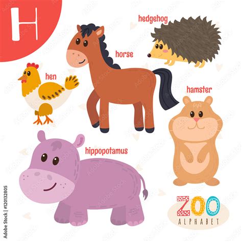 Letter H. Cute animals. Funny cartoon animals in vector. ABC boo Stock Vector | Adobe Stock