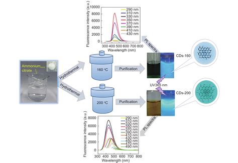 Carbon quantum dots: Synthesis and correlation of luminescence behavior ...