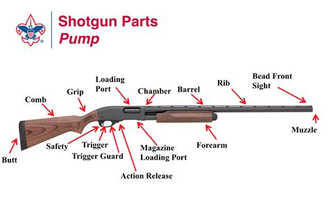 Basic Shotgun Parts Diagram 21+ Diagram Of A Shotgun