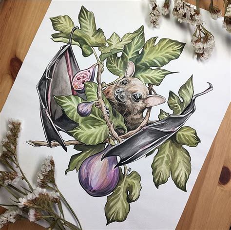 Veronica Steiner, Fruit-bat | Drawings, Tattoo design drawings, Animal art