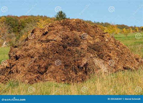 Brown dunghill in autumn stock image. Image of dung - 205368307