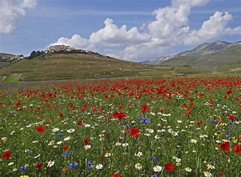 Castelluccio di Norcia, Italy