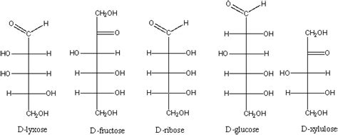 Which of the following is a ketopentose? A)D-lyxose B)D-fructose C)D-ribose D)D-glucose E)D-xylulose