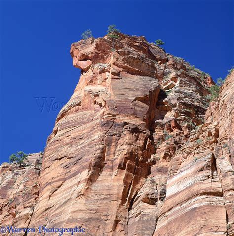 Sandstone cliffs at Zion Canyon photo WP01897