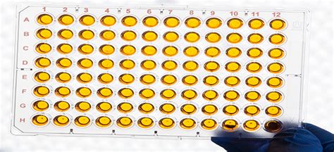 Three Ways To Reduce Microplate Edge Effect | Microplate Assays