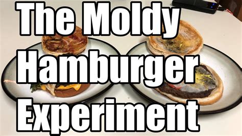 The Moldy Hamburger Experiment - YouTube