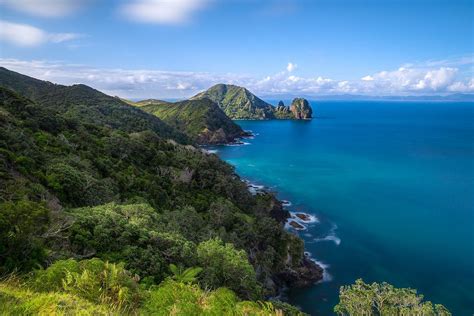 Coromandel Coastal Walkway - All You Need to Know BEFORE You Go (2024)