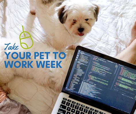 Take Your Pet to Work Week