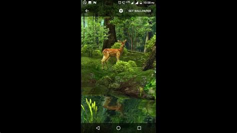 3D Nature Live Wallpaper தமிழ் - YouTube