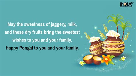 Pongal 2020: Wishes, Greetings, Quotes, Facebook and WhatsApp Messages, SMS, photos – India TV