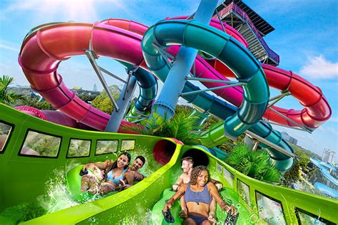 Riptide Race | SeaWorld Orlando Discount Tickets | Undercover Tourist