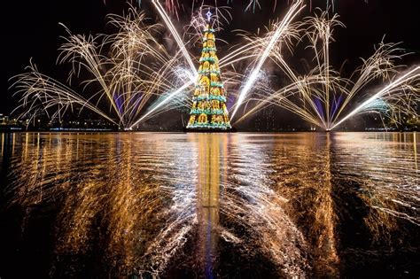 18 Most Beautiful Christmas trees around the World