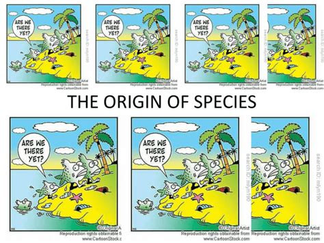 THE ORIGIN OF SPECIES