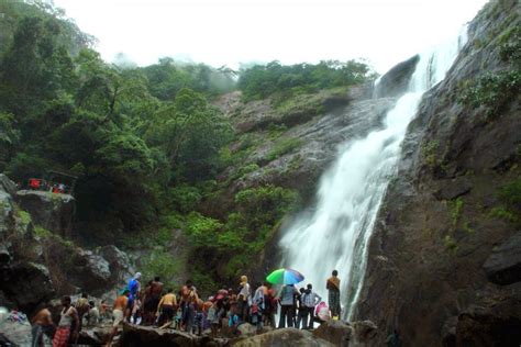 Photo Gallery of Palaruvi Waterfalls | Palaruvi | Palaruvi Falls | Palaruvi Waterfall | Palaruvi ...