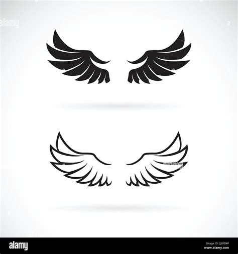 Vector of wing design on white background. Wing icon or logo. Animal. Easy editable layered ...