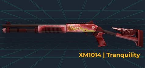 Top 13 Best XM1014 Skins in Counter Strike 2 (CS2)