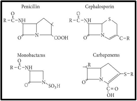 Introduction to Extended-Spectrum β-Lactamase (ESBL) | UKM Medical ...