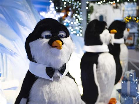 Singing Penguins and more at Tŷ Pawb this December ...