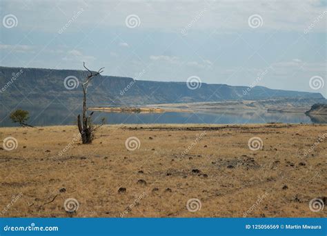 The Arid Landscapes of Lake Magadi, Kenya Stock Image - Image of magadi, lake: 125056569