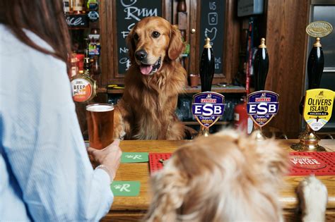 Tips For Taking Your Dog To The Pub For The First Time | The Dog People ...