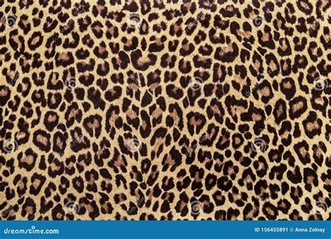 Leopard Print Wallpaper