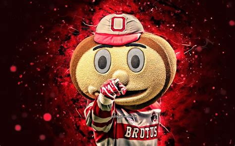 Ohio State Brutus Wallpaper Hd