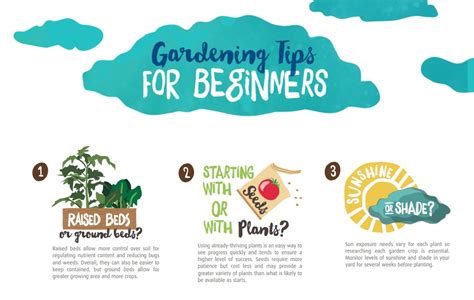 Gardening for Beginners| Edible Northeast Florida