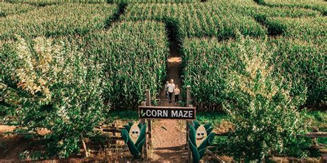 10 Corn Mazes in Ontario Worth Getting Lost In | Reader's Digest Canada