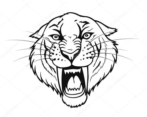 Saber Tooth Tiger Drawing at GetDrawings | Free download