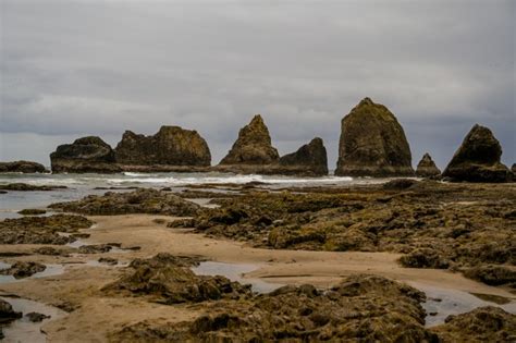 20 Amazing Things to do in Coos Bay, Oregon