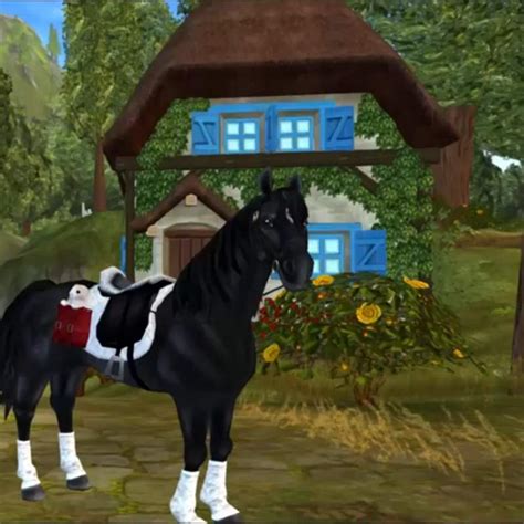 Star Stable Horse Breeds | Star Stable Online Amino