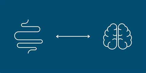 What’s your gut feeling? The connection between your gut microbiome and ...