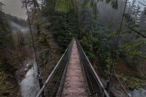 11 Perfect Hikes for Rainy Oregon Days | That Oregon Life