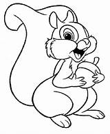 20  Free Printable Squirrel Coloring Pages EverFreeColoringcom sketch template