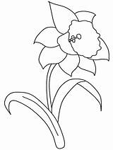 Daffodil Flower Coloring Page At GetColoringscom  Free Printable sketch template