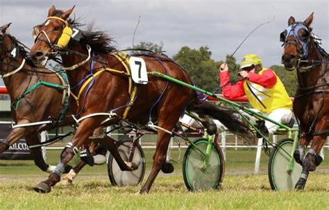 Kilcoy Harness Raceday + Kilcoy Gift Sprint Races :: Kilcoy Race Club