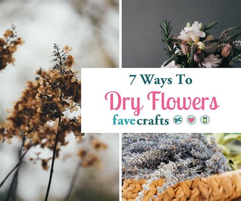 How to Dry Flowers 7 Ways | FaveCrafts.com