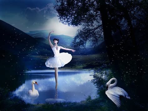 🔥 [50+] Swan Lake Wallpapers | WallpaperSafari