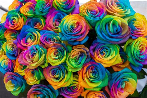 ITAP of rainbow roses for the Pride month. (Yes they are real flowers ...