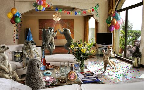 10 Funny Photos Of Party Animals Going Wild - I Can Has Cheezburger?