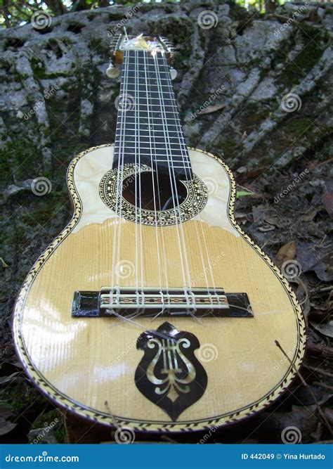 Charango stock image. Image of argentina, andean, charango - 442049